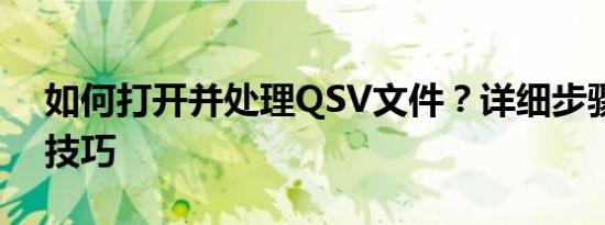 如何打开并处理QSV文件？详细步骤与实用技巧