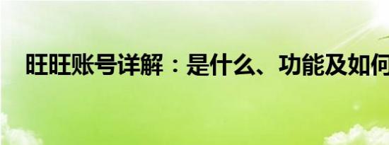 旺旺账号详解：是什么、功能及如何操作