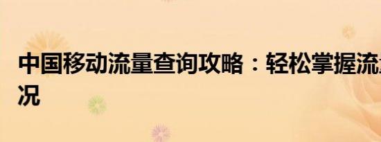 中国移动流量查询攻略：轻松掌握流量使用情况