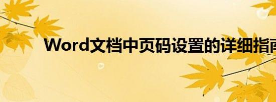 Word文档中页码设置的详细指南