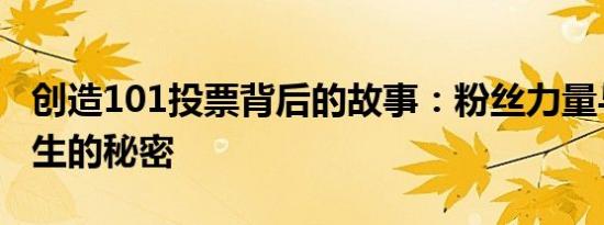 创造101投票背后的故事：粉丝力量与偶像诞生的秘密