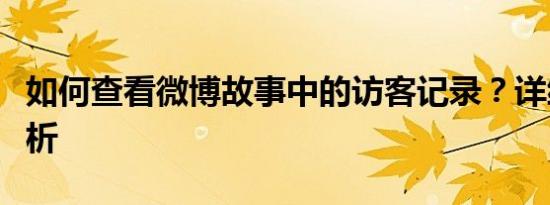 如何查看微博故事中的访客记录？详细步骤解析