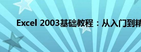 Excel 2003基础教程：从入门到精通