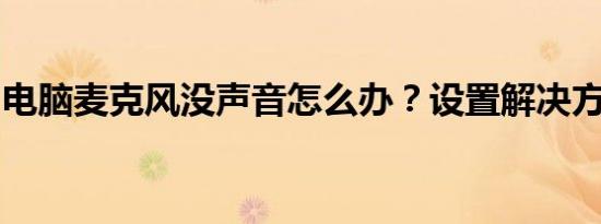 电脑麦克风没声音怎么办？设置解决方案大全