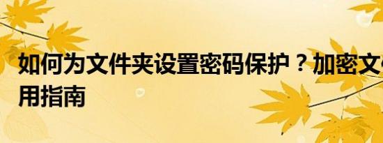 如何为文件夹设置密码保护？加密文件夹的实用指南