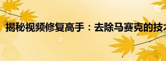 揭秘视频修复高手：去除马赛克的技术解析