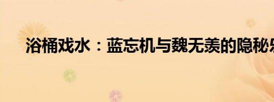浴桶戏水：蓝忘机与魏无羡的隐秘乐园