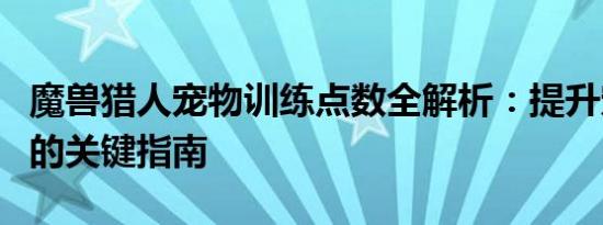 魔兽猎人宠物训练点数全解析：提升宠物能力的关键指南