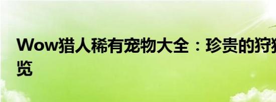 Wow猎人稀有宠物大全：珍贵的狩猎伙伴一览