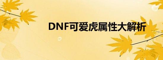 DNF可爱虎属性大解析
