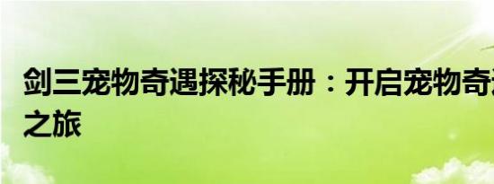 剑三宠物奇遇探秘手册：开启宠物奇遇的神秘之旅