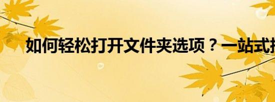 如何轻松打开文件夹选项？一站式指南