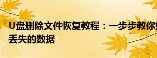 U盘删除文件恢复教程：一步步教你如何恢复丢失的数据