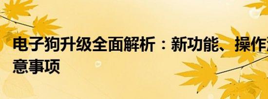 电子狗升级全面解析：新功能、操作流程及注意事项