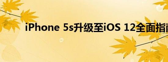 iPhone 5s升级至iOS 12全面指南