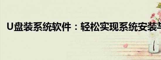 U盘装系统软件：轻松实现系统安装与备份