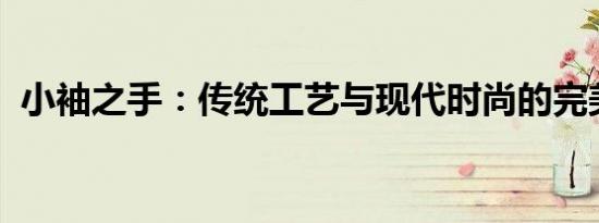 小袖之手：传统工艺与现代时尚的完美结合