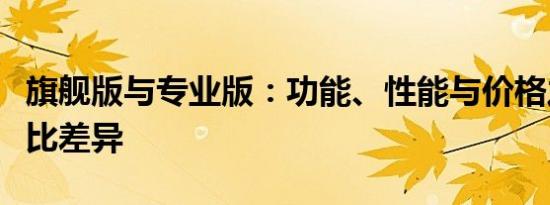 旗舰版与专业版：功能、性能与价格之间的对比差异