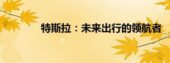 特斯拉：未来出行的领航者