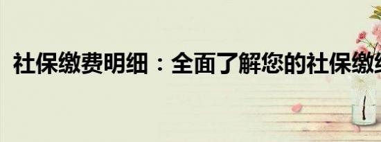 社保缴费明细：全面了解您的社保缴纳状况