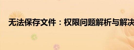 无法保存文件：权限问题解析与解决方案