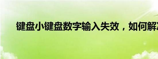 键盘小键盘数字输入失效，如何解决？