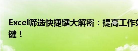 Excel筛选快捷键大解密：提高工作效率的关键！