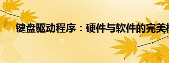 键盘驱动程序：硬件与软件的完美桥梁