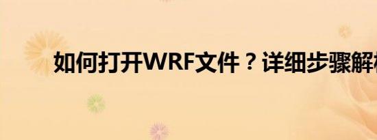如何打开WRF文件？详细步骤解析