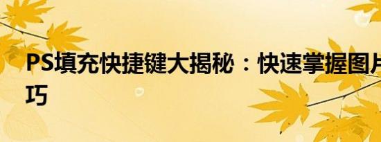 PS填充快捷键大揭秘：快速掌握图片填充技巧