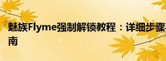 魅族Flyme强制解锁教程：详细步骤与操作指南