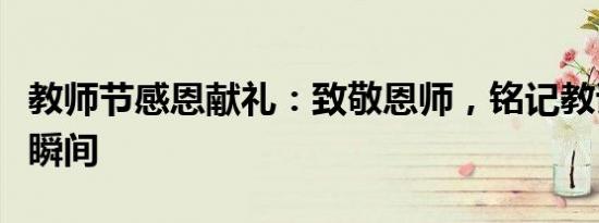 教师节感恩献礼：致敬恩师，铭记教诲的温馨瞬间