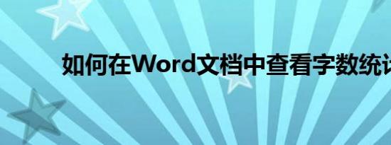 如何在Word文档中查看字数统计