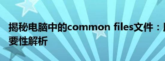 揭秘电脑中的common files文件：用途与重要性解析