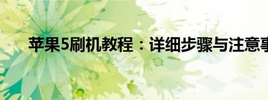 苹果5刷机教程：详细步骤与注意事项