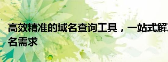 高效精准的域名查询工具，一站式解决你的域名需求