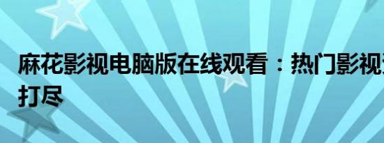 麻花影视电脑版在线观看：热门影视资源一网打尽