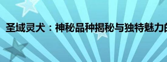 圣域灵犬：神秘品种揭秘与独特魅力的展现