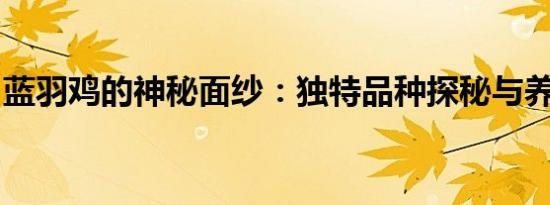 蓝羽鸡的神秘面纱：独特品种探秘与养殖秘籍