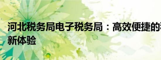河北税务局电子税务局：高效便捷的税务服务新体验