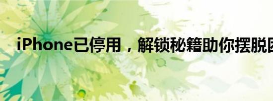 iPhone已停用，解锁秘籍助你摆脱困境！