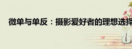 微单与单反：摄影爱好者的理想选择之争