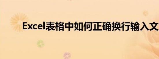 Excel表格中如何正确换行输入文本