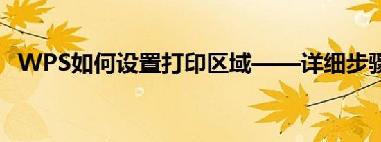 WPS如何设置打印区域——详细步骤解析