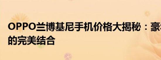 OPPO兰博基尼手机价格大揭秘：豪华与科技的完美结合