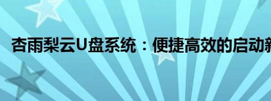 杏雨梨云U盘系统：便捷高效的启动新选择