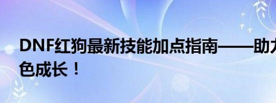 DNF红狗最新技能加点指南——助力你的角色成长！