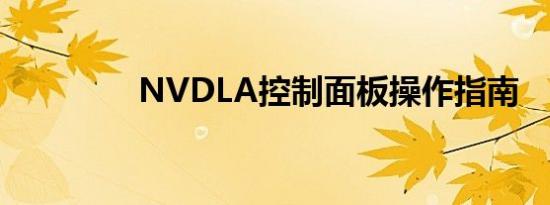 NVDLA控制面板操作指南