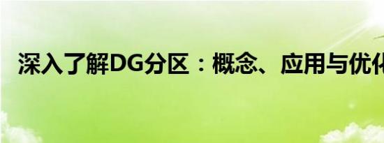 深入了解DG分区：概念、应用与优化策略