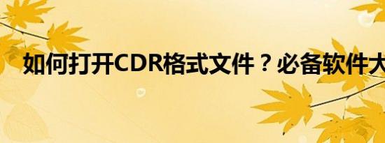 如何打开CDR格式文件？必备软件大解析